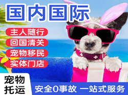 银川河东机场快递国际宠物托运 【国